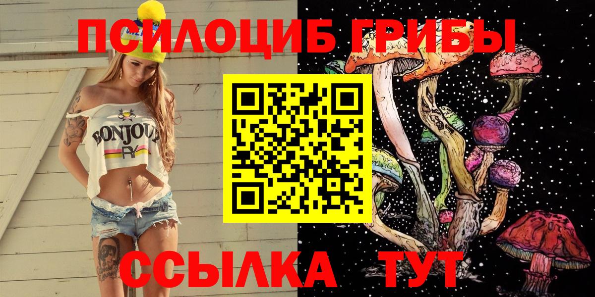 Галлюциногенные грибы Cubensis  как найти наркотики  Вход с VPN  Чехов  Псилоцибиновые грибы прущие грибы 