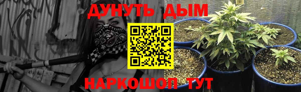 Конопля Ganja  Вход с VPN  Канабис гибрид  Чехов 